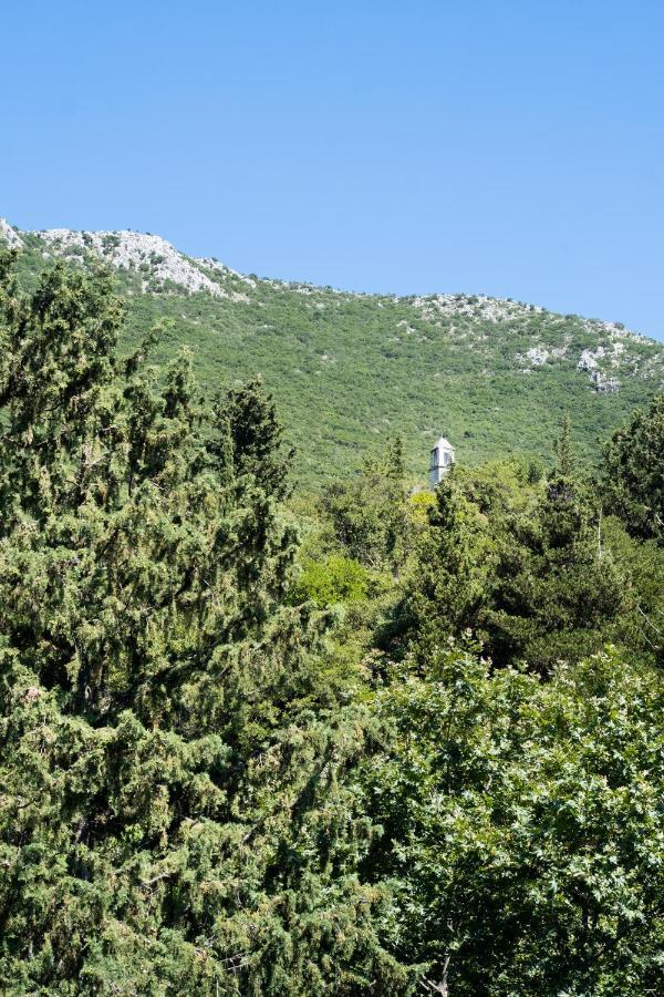 La Olga Apartment Lefkada Sivros Экстерьер фото